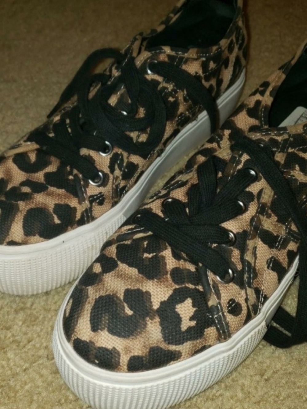 Steve Madden Leopard-Print Lace-Up Sneakers - Black & Brown